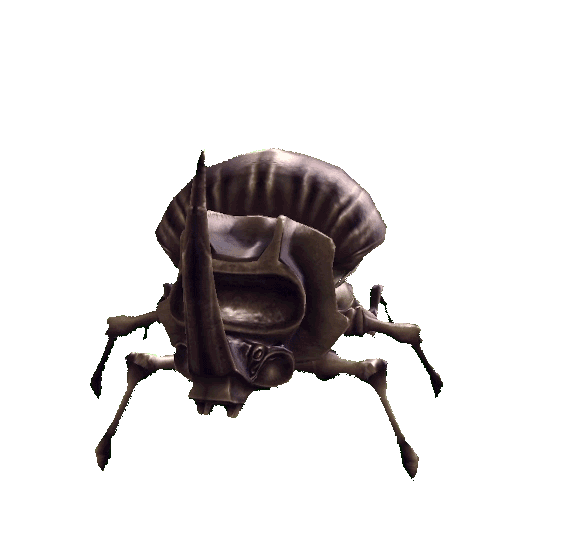Жук