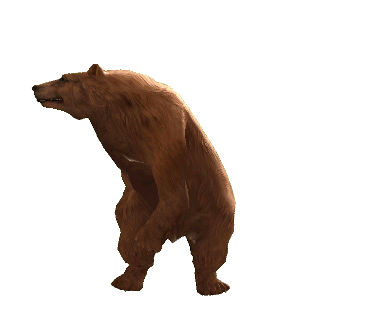 Бурый медведь